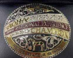 Novice Amateur Reining, 2008. Novice Amateur Reining, 2008.