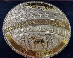 Select Reining, 2006. Select Reining, 2006.