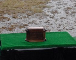 Arlington National Cemetery military funeral honors for John Jachym. Arlington National Cemetery military funeral honors for John Jachym.