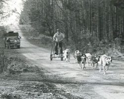Dave Shaw on a fall training run. Dave Shaw on a fall training run.