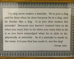Advice for the trainer from legendary musher George Attla. Advice for the trainer from legendary musher George Attla.