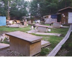 Dave Shaw's kennel. Dave Shaw's kennel.