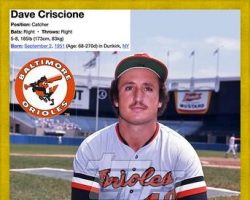 Dave Criscione with the Baltimore Orioles, 1977. Dave Criscione with the Baltimore Orioles, 1977.