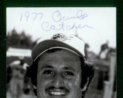 Dave Criscione with the Baltimore Orioles, 1977. Dave Criscione with the Baltimore Orioles, 1977.