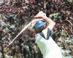 Dick Cole. Dick Cole takes a swing.