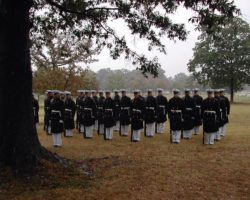 Arlington National Cemetery military funeral honors for John Jachym. Arlington National Cemetery military funeral honors for John Jachym.
