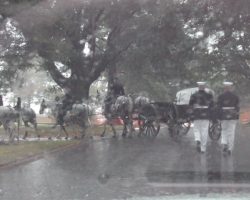 Arlington National Cemetery military funeral honors for John Jachym. A Arlington National Cemetery military funeral honors for John Jachym.