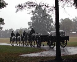 Arlington National Cemetery military funeral honors for John Jachym. Arlington National Cemetery military funeral honors for John Jachym.