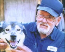 Dave Shaw. Dave Shaw.