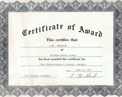 Softball First Team Division II Allstar. 1989. Softball First Team Division II Allstar. 1989.