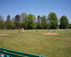 tee-ballers tee-ballers (2)