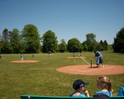 tee-ballers tee-ballers (3)