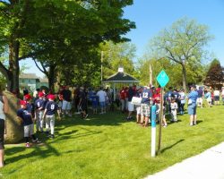 youth ballplayers youth ballplayers