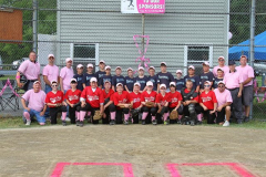 Strike Out Cancer, Valley Little League, 2014.
