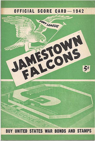 Jamestown Falcons program
