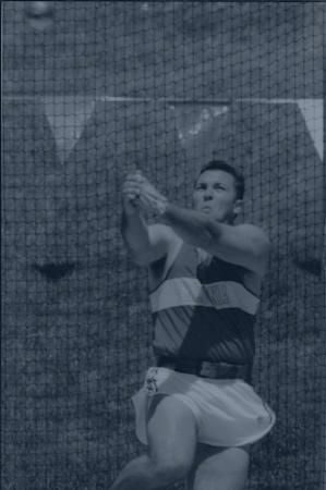 Trevor Hitchcock