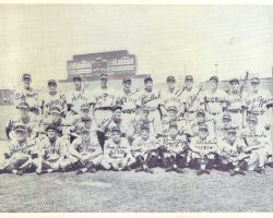 1949 Hollywood Stars team photo. Irv Noren is first on right in back row. 1949 Hollywood Stars team photo. Irv Noren is first on right in back row.