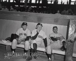 Irv Noren, Casey Stengel and Willy Miranda in the Yankee dugout. 1953. Irv Noren, Casey Stengel and Willy Miranda in the Yankee dugout. 1953.