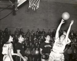 Frank Pischera