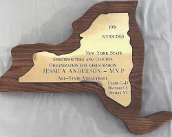 Jessica Anderson, MVP All-State volleyball. 1991. Jessica Anderson, MVP All-State volleyball.