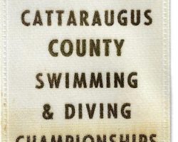 Brianne Prince, Chautauqua Cattaraugus County Swimming & Diving Championships, third place 200 yard free style, 1997.