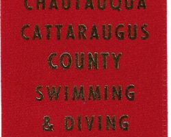 Brianne Prince, Chautauqua Cattaraugus County Swimming & Diving Championships, second place 400 yard free style relay, 1997.