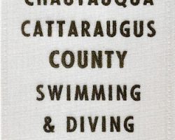 Brianne Prince, Chautauqua Cattaraugus County Swimming & Diving Championships, third place 200 yard free style relay, 1997.