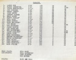 1989 Falconer Central School varsity football roster.