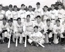 1944 Jamestown Falcons. Nellie Fox is in kneeling row on far right Fellow CSHOF inductee Lyle Parkhurst is in standing row, third from right. 1944 Jamestown Falcons. Nellie Fox is in kneeling row on far right Fellow CSHOF inductee Lyle Parkhurst is in standing row, third from right.