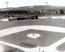 1944 Jamestown Falcons at Municipal Stadium in Jamestown, NY. Nellie Fox is playing center field. 1944 Jamestown Falcons at Municipal Stadium in Jamestown, NY. Nellie Fox is playing center field.