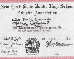 1987 NYSPHSAA baseball tournament participation.