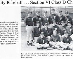 1993 Frewsburg Central School baseball team.