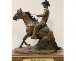 2013 NRHA Prime Time Non Pro Champion. 2013 NRHA Prime Time Non Pro Champion.