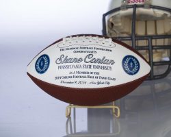 College Football Hall of Fame, 2014.