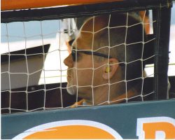 Dick Barton, 2004.