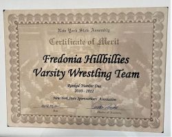 New York State Sportswriters Association Certificate of Merit. 2011.