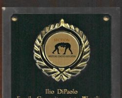 Ilio DiPaaolo Award,  2012-13.