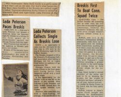 Softball articles.