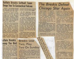 Softball articles.