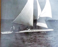 Dick Shearman sailing.