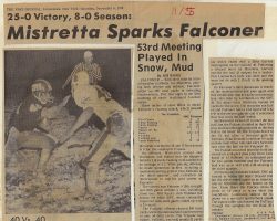 Mistretta Sparks Falconer. <em>Post-Journal</em> (Jamestown), November 6, 1976.