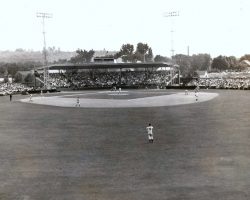 1944 Jamestown Falcons at Municipal Stadium in Jamestown, NY. Nellie Fox is playing center field. 1944 Jamestown Falcons at Municipal Stadium in Jamestown, NY. Nellie Fox is playing center field.