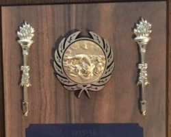 Patrick Whelehan Official of the Year Award 1985-86