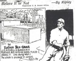Ripley's Believe It  or Not