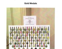 Daniel Bryner's gold medals. Daniel Bryner's gold medals.