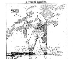 Wallace Goldsmith cartoon.